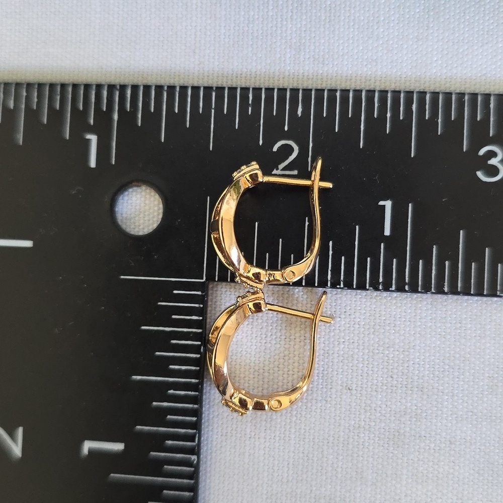Small Rose Gold Filled D Ring Horsebit Hoop Earrings - Picture 9 of 9